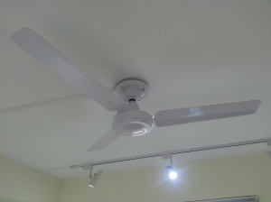 Ceiling Fan2
